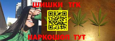 соль ск Славгород