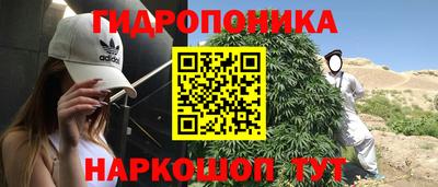 соль ск Славгород
