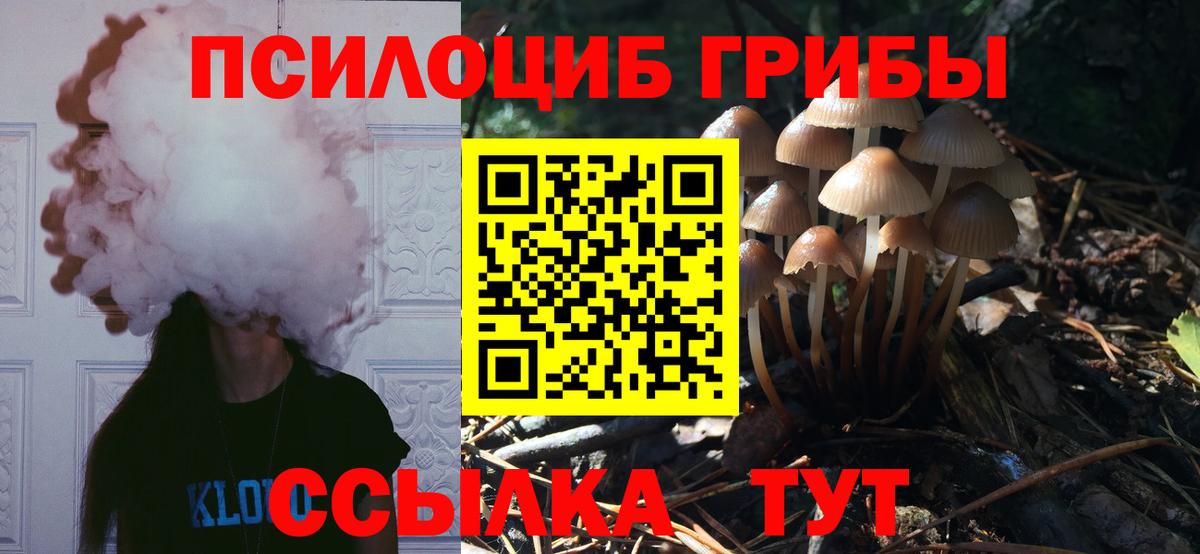 Галлюциногенные грибы MAGIC MUSHROOMS  Вход с VPN  Протвино 